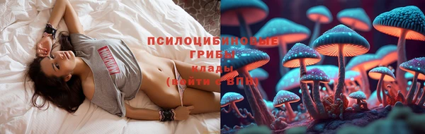 СК Балахна