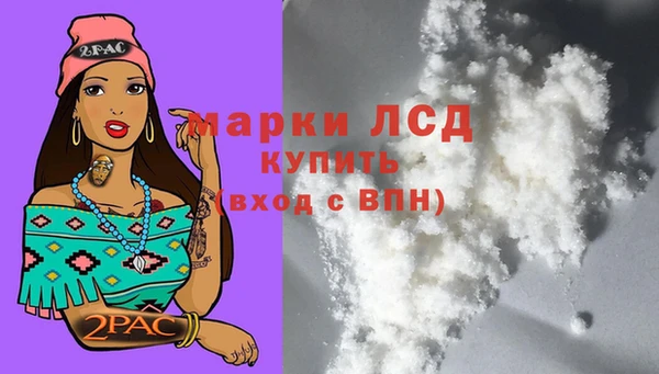 СК Балахна